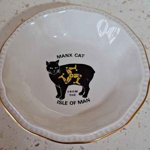 Manx cat isle man white - manx,