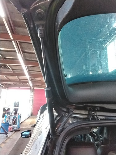 Boot tailgate support strut - support,