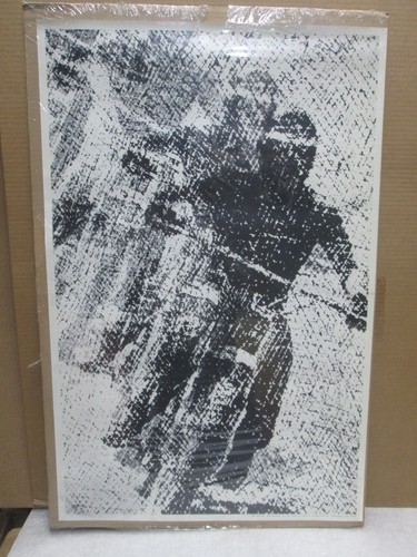 Moto dirt bike - racing, the