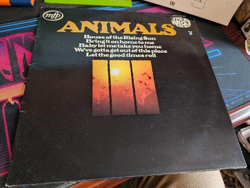 The animals most - the,