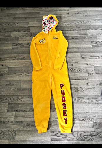 Pudsey bear kids - bear, zip
