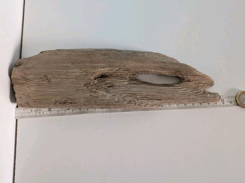 4930 decorative driftwood - ,