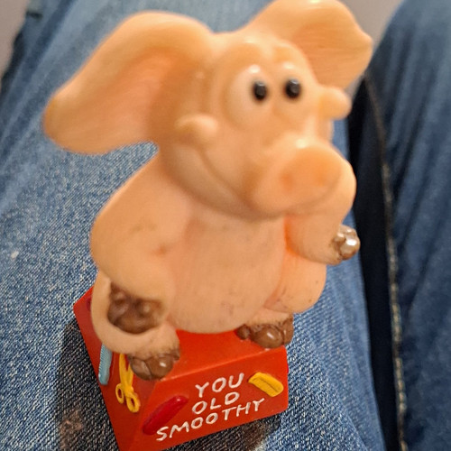 Piggin celebrations you old - celebrations, "you