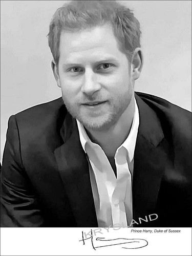 Prince harry duke sussex - harry,, of