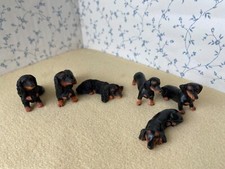 Dolls house dachshund - house, puppy