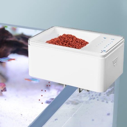 500ml aquarium automatic - 500ml, fish