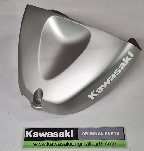 Genuine kawasaki 2005 - zx-6r, 2005/6