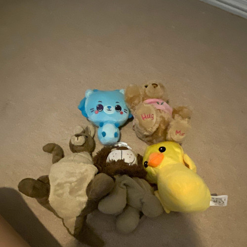Hug mixed animal - hug,