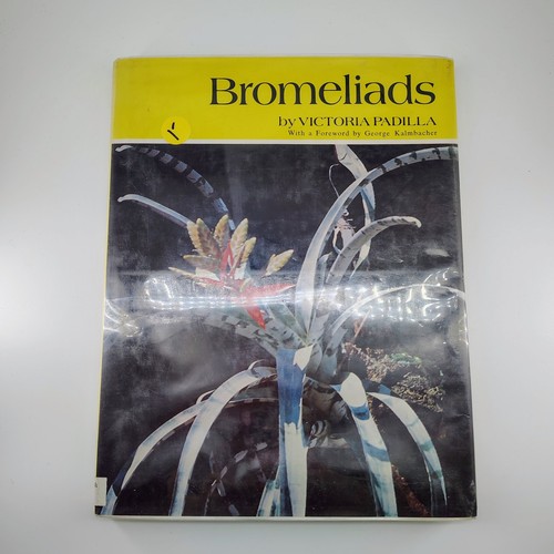 Bromeliads victoria padilla - victoria,