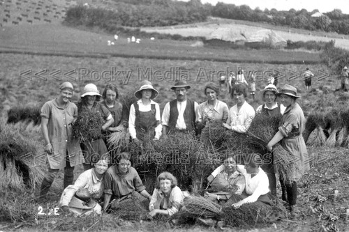 Zqq wwi women land - women's,