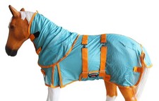 Challenger Miniature Weanling