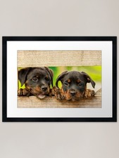 Cute Rottweilers Framed Art