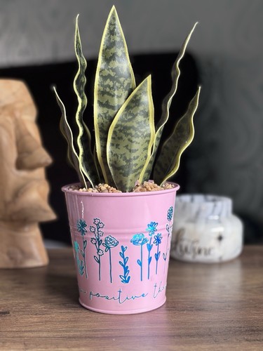 Metal pink planter - pink, “grow