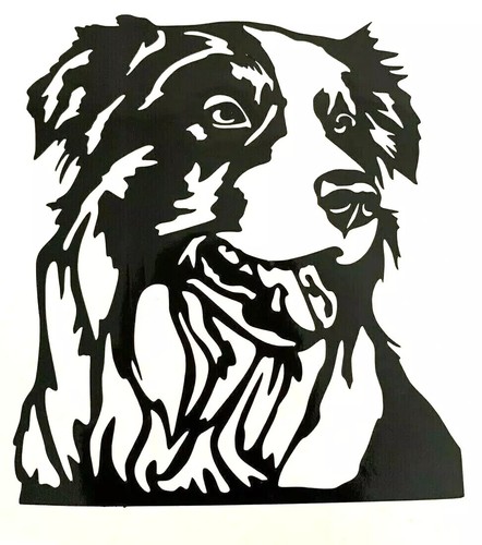 Border collie sheepdog - border, dog