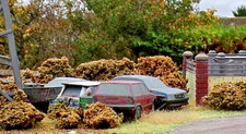 00 Gauge 1/76 Scale Abandoned