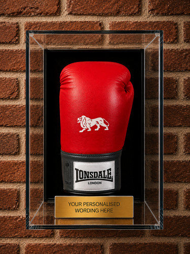 Boxing glove display case - glove, wall