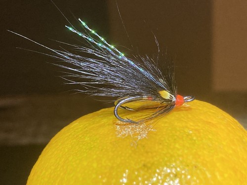 Fly fishing flies sea - fly, trout