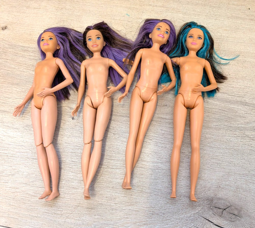 Barbie skipper doll bundle - skipper, job