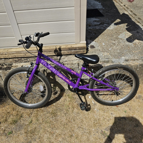 Apollo envy 20in purple - envy,