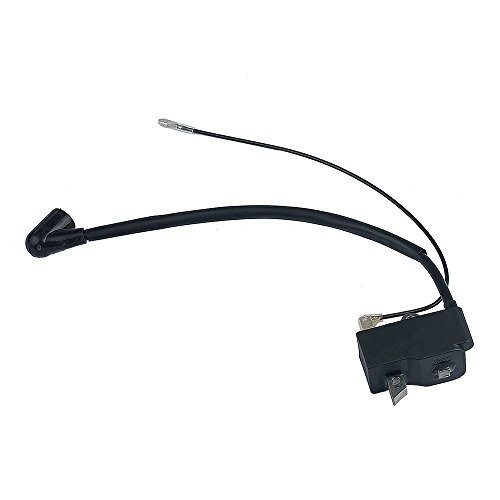 Ise ignition coil - coil, module