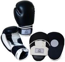Focus Pads and Boxing Gloves