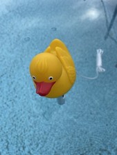 FLOATING DUCK SWIMMING POOL