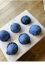 Silkie H@tching £ggs 6