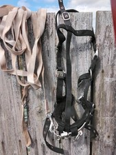 Lunge Cavison And line