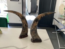 Two Large Decrative animal Horns Ornaments Home Decor
