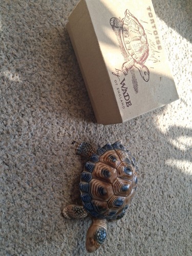 Wade tortoises collector - tortoises, collector's
