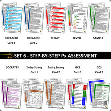 Set 6 - Patient Assessment Step-By-Step ID Badge Cards Student Nurses, Midwives