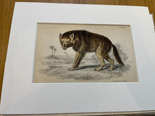 Genuine Antique 1836 9.5"x7"