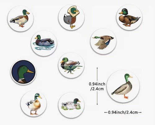 Assorted mallard duck - assorted,