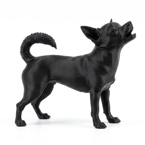Howling chihuahua dog - howling,