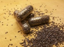 Whole Blue Poppy Seed 800mg