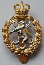 British Army, Women's Royal