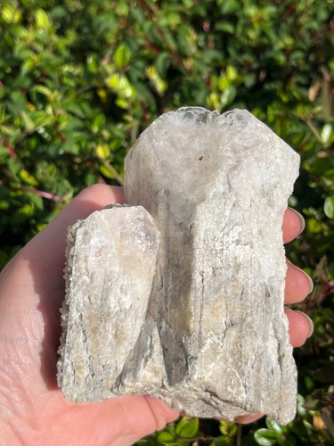 Natural danburite crystal - natural,