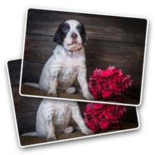 2x Vinyl Sticker English