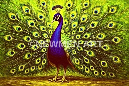 Peacock colourful poster print - poster,