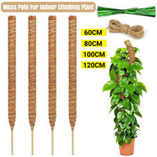 Moss Pole Climbing Plant Coco