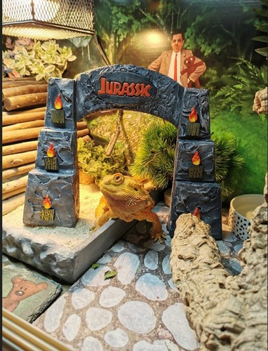 Jurassic entrance deco for - entrance,