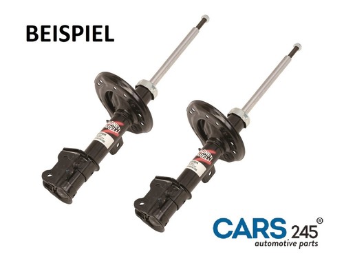 Shock absorbers rear axle - absorbers,