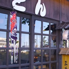  140 CM Windsock Fish