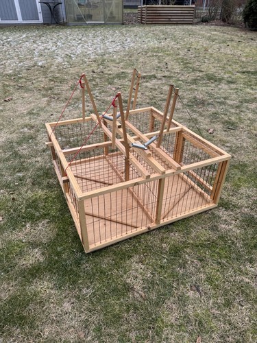 Live trap for pigeons - live,
