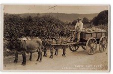 "Slow but Sure" Presteigne