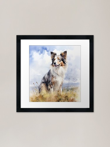 Watercolor australian shepherd - australian,