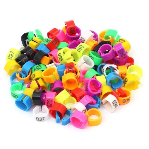 100pcs leg bands plastic - 100pcs,