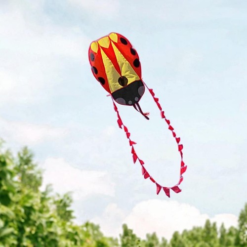 Lady bird kite - kite, outdoor