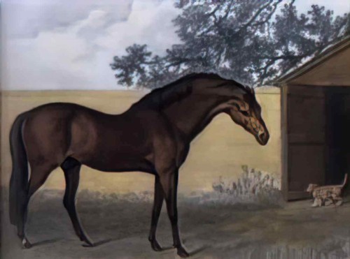 George stubbs photo - george, a4