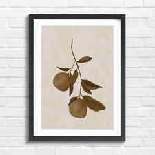 Botanical Orange Branch